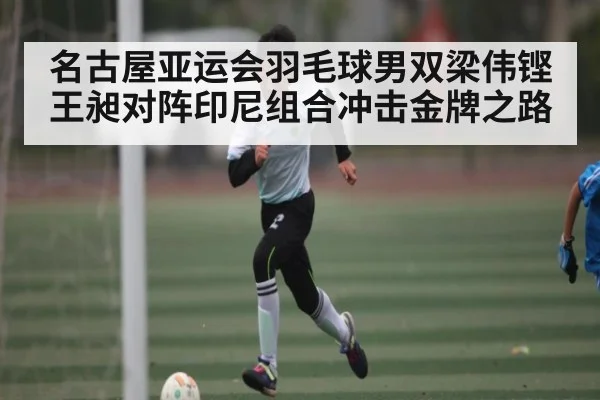 名古屋亚运会羽毛球男双梁伟铿王昶对阵印尼组合冲击金牌之路